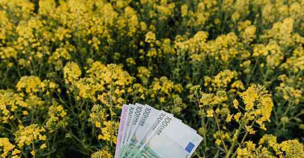 怎么连接ssr节点